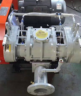 YLSR125L不銹鋼羅茨風機