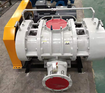 YLSR200L不銹鋼羅茨風機