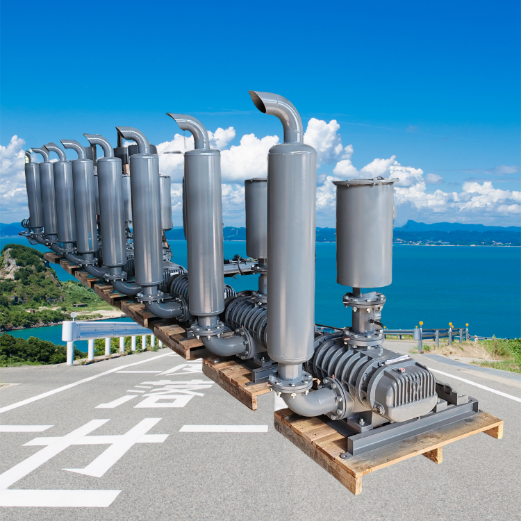 羅茨風機，高效節(jié)能，支持定制，就找山東勇龍